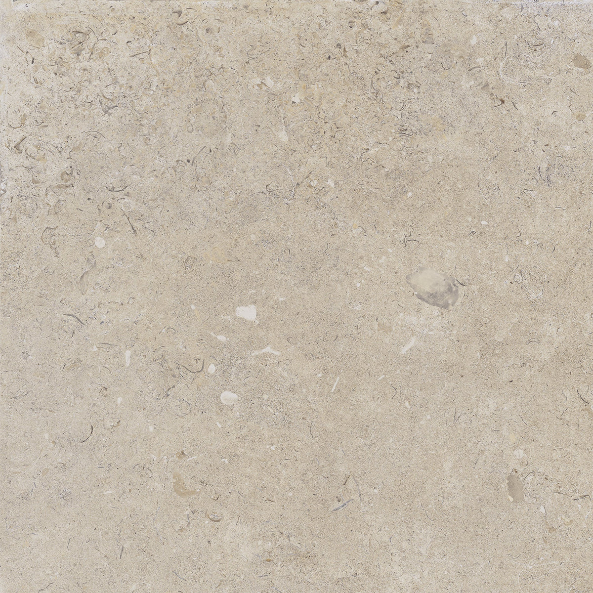 Kalksten Klinker Beige Matt Rect. 60x60 CM Klinker - Trendi Kakel - KakelExpress