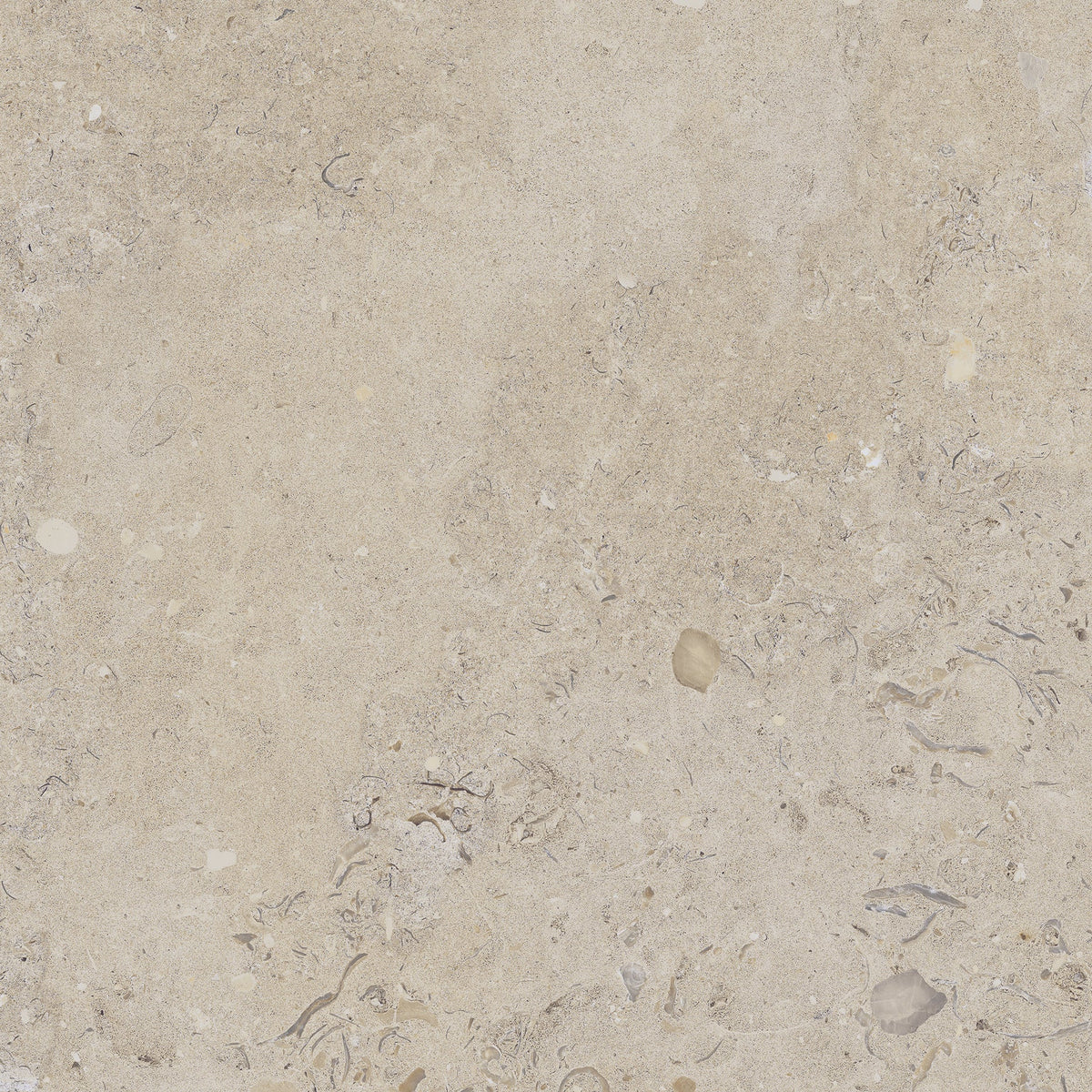 Kalksten Klinker Beige Matt Rect. 60x60 CM Klinker - Trendi Kakel - KakelExpress