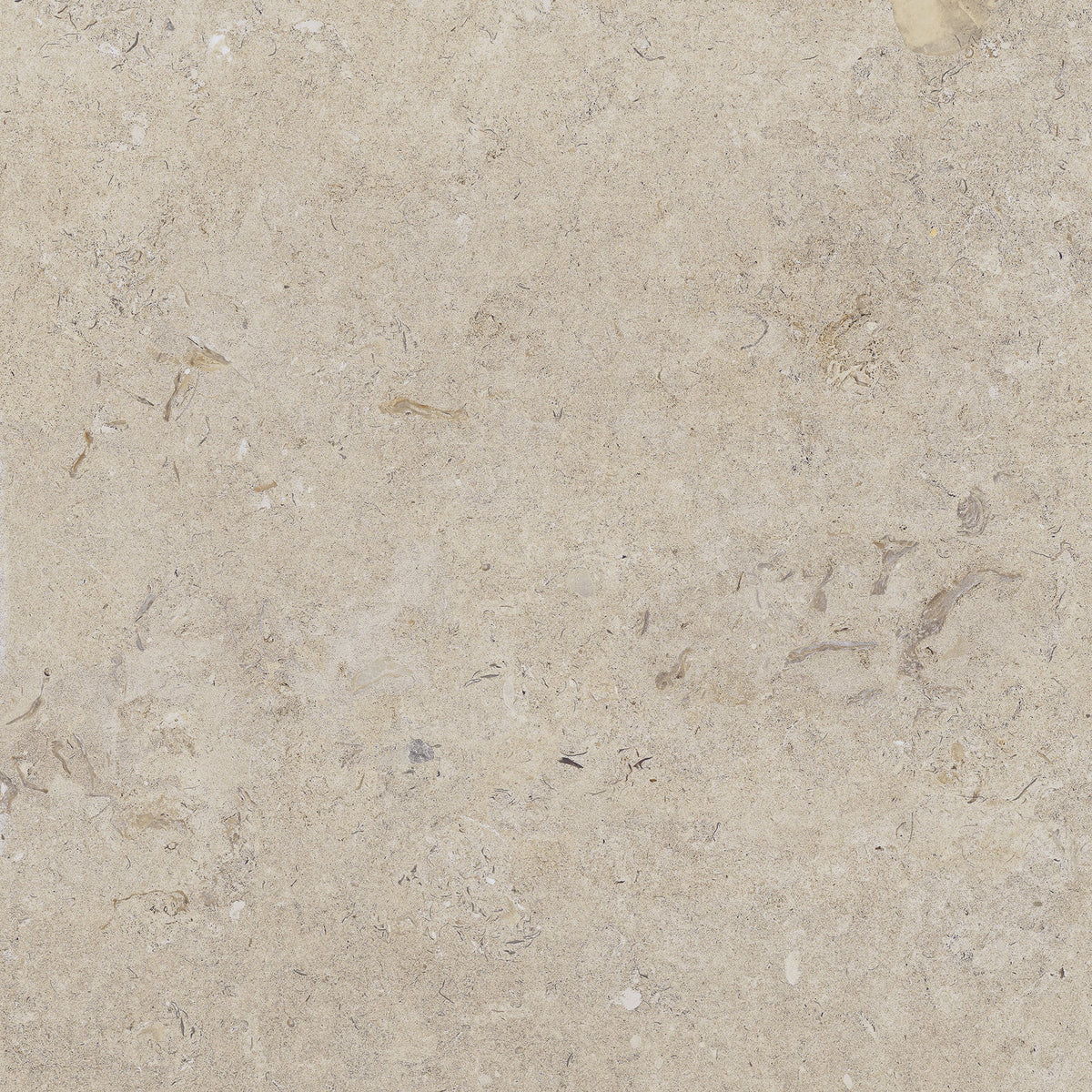 Kalksten Klinker Beige Matt Rect. 60x60 CM Klinker - Trendi Kakel - KakelExpress