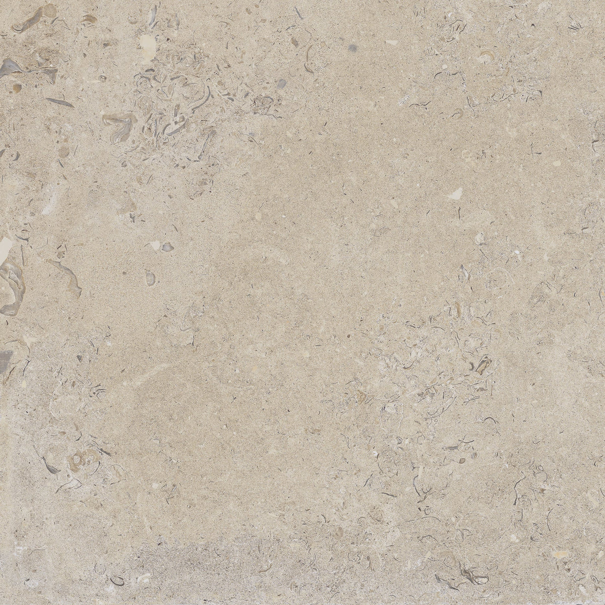 Kalksten Klinker Beige Matt Rect. 60x60 CM Klinker - Trendi Kakel - KakelExpress