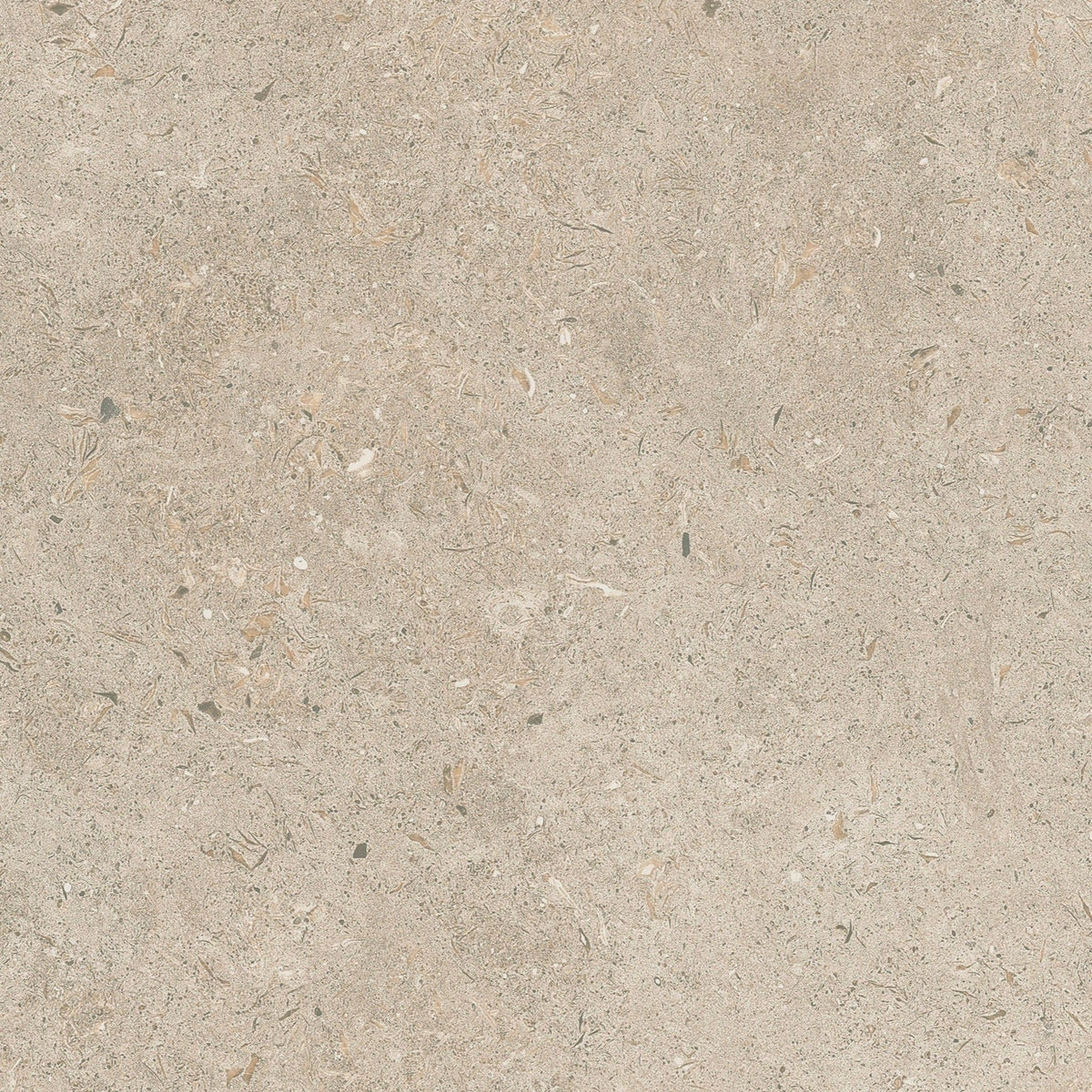 Norr Kalk Natural Matt 15x15 CM Klinker (Specialkapad vid beställning) - Trendi Kakel - KakelExpress