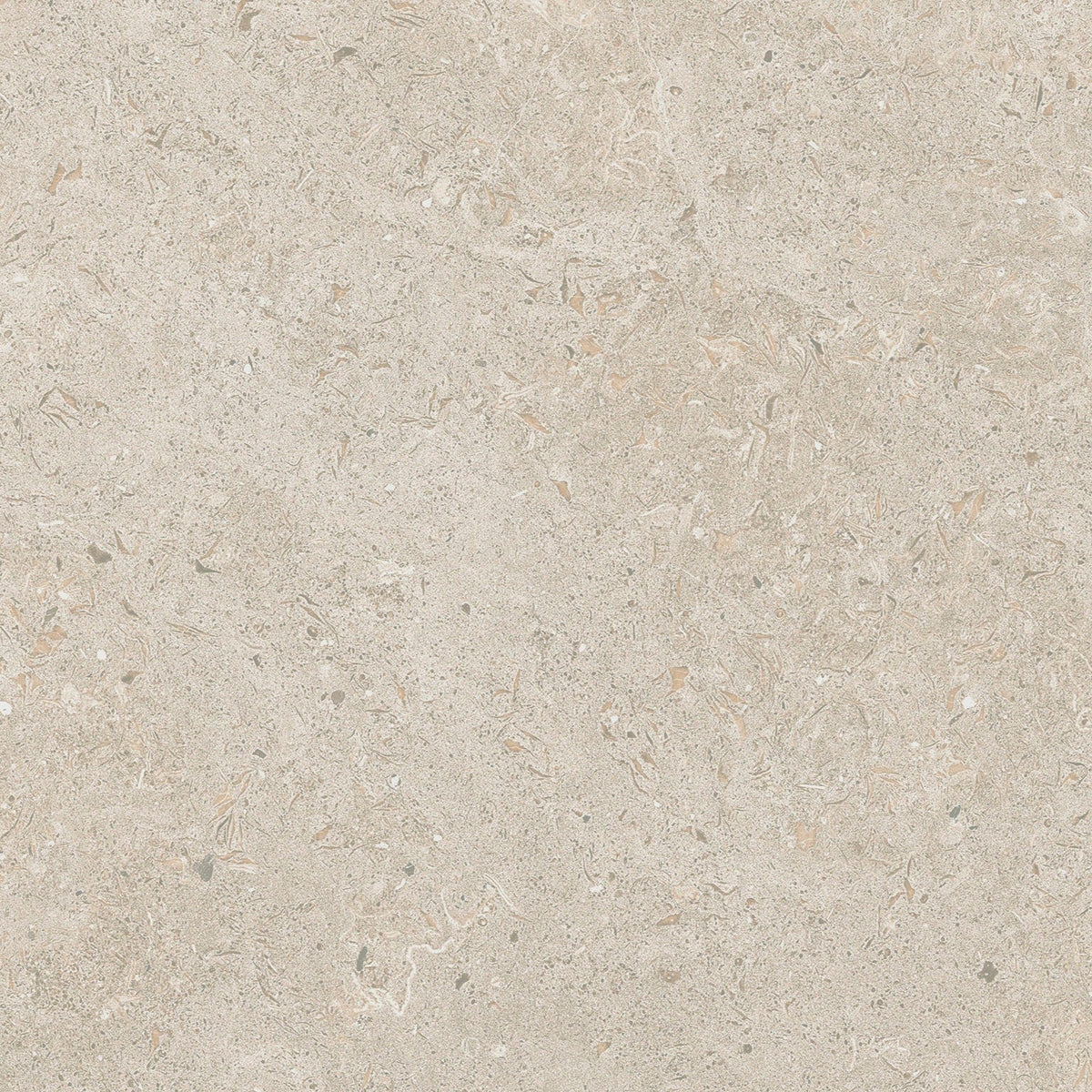 Gotland Kalk Beige Matt Rect. 60x60 CM Klinker - Trendi Kakel - KakelExpress