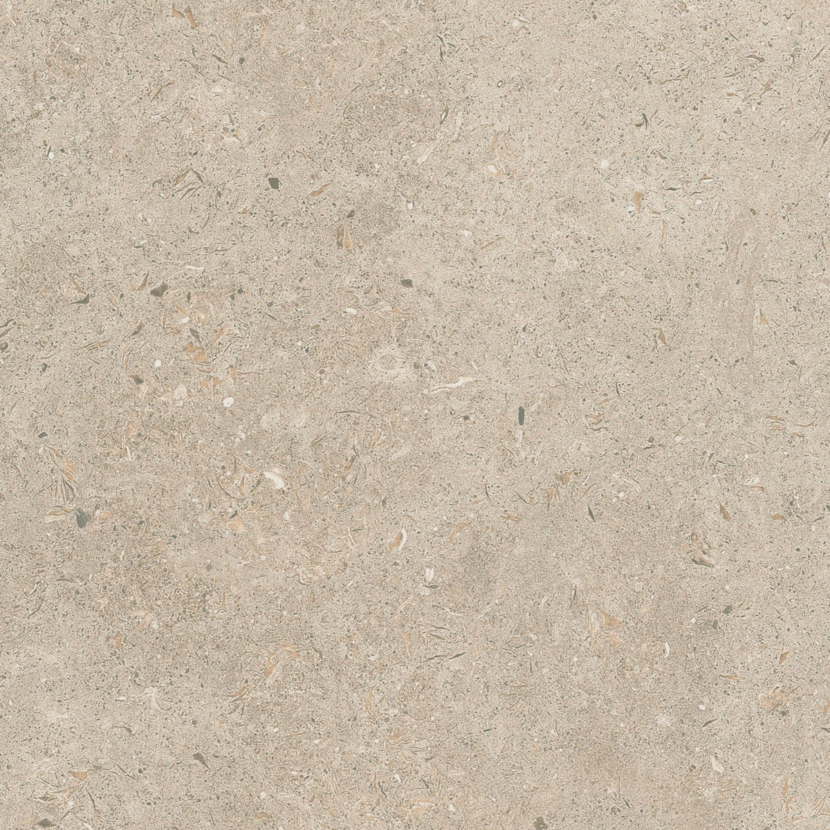 Gotland Kalk Natur Matt Rect. 60x60 CM Klinker - Trendi Kakel - KakelExpress